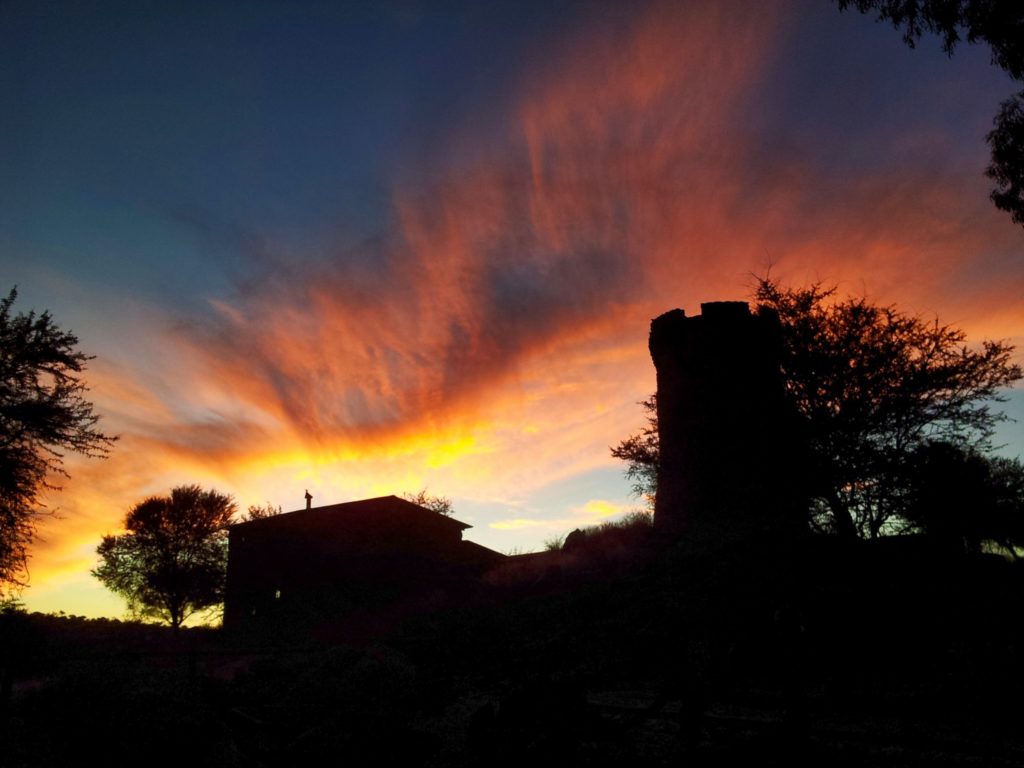 LEOPARD LODGE W (3)